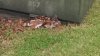 IMG_20130518_145211_237.jpg