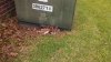 IMG_20130518_145227_296.jpg