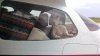 Flying_172_011_web.jpg