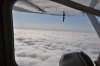 DSC_0050.JPG