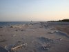DSC01472.jpg