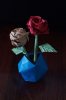 DSC00093.jpg