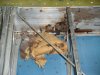 DSCN3753.JPG