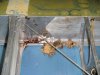 DSCN3754.JPG