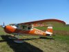 C140inGrass.jpg