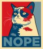grumpy_cat__nope_by_imwithstoopid13-d624kvl.jpg