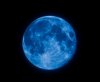 Blue Moon (Medium).jpg