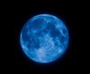 Blue Moon (Medium).jpg