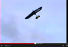igag.png