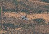 F16.jpg