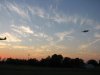 IMG_2863.JPG