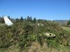 IMG_0245_s.jpg