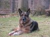 DSCN1194.JPG