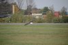 DSZ_0301.JPG