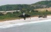 harrier4.jpg