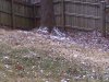 Blizzardof2014.jpg
