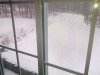 groundhog-day.jpg