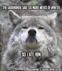 groundhog_day.jpg