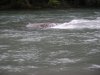 DSCN0870.jpg