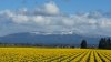 20140317_141959.jpg