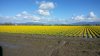 20140317_142253.jpg