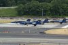 DSC05645.JPG