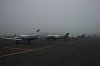 DSC08567.JPG