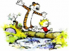 C&H.png