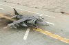 harrier.jpg