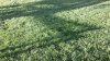 20140601_191504_Buttonwood Ct.jpg