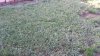 20140601_191526_Buttonwood Ct.jpg