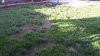 20140601_191542_Jackson Creek Pkwy.jpg