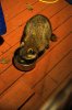 DSC05405.JPG