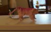 DSC00428.jpg