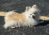DSC06607.JPG