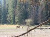 IMG_4623.JPG