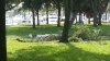 20140915_172749.jpg 20140915_172749.jpg