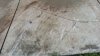 Ground.jpg Ground.jpg