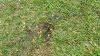 The first place the airplane hit the ground.jpg The first place the airplane hit the ground.jpg