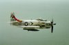 IMG13_800W.jpg