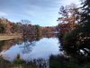 IMG_20141108_104226156_HDR.jpg