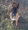 Aero-4mos.JPG