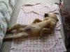 DSC00535.JPG