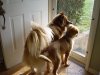 DSC00532.JPG