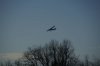 Merrymeeting16 021707.jpg