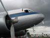 IMG_0307 nose.JPG