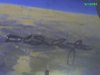 Treo_031307_002.jpg