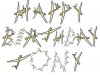 53gliders.jpg