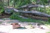 firepit patio.JPG