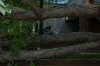 house view.JPG
